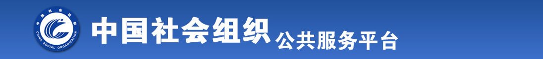 啊啊啊日全国社会组织信息查询